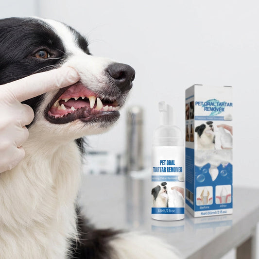 🐾 BUY 2 GET 1 FREE! ✨Pet Oral Care Foaming Tartar Remover