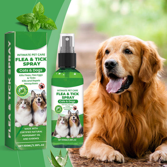🥳2026 HOT SALE🥳🍃🐾 50% OFF! Natural Flea & Tick Spray – Peppermint & tea tree oil, safe for cats & dogs. Soothes itchy skin, no harsh chemicals. Just spray & go. A gentle pest solution. 🌿✨