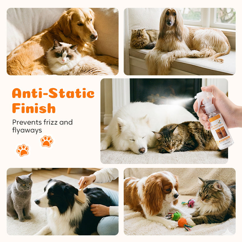 🔥 50% OFF – Last Day! 🔥 Pet Deodorizing & Detangling Spray