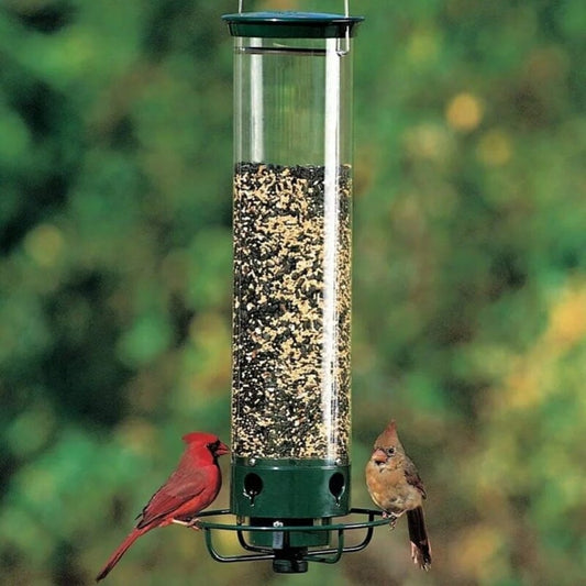 💥New Spring 2026💥 Squirrel-Proof Bird Feeder
